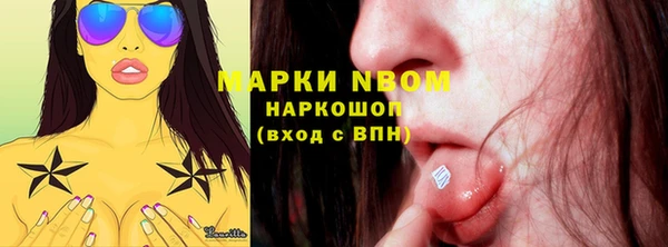 твердый Няндома