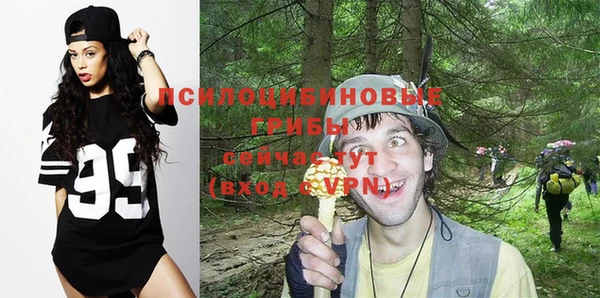 меф Алексин