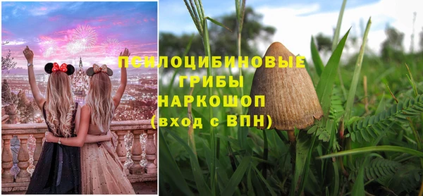 герыч Арсеньев