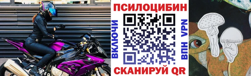 Галлюциногенные грибы GOLDEN TEACHER  omg зеркало  Майкоп 